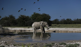 Why book with us-Travel Adventures Botswana 7